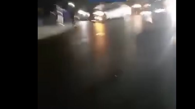 الايام المصرية