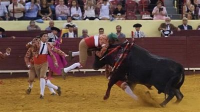 شاهد لحظة وفاة مصارع ثيران خلال أول عرض (فيديو)