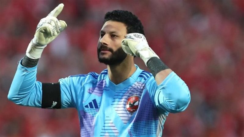محمد الشناوي