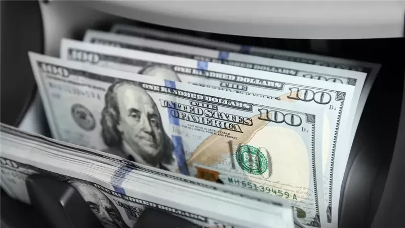 استقرار في سعر الدولار