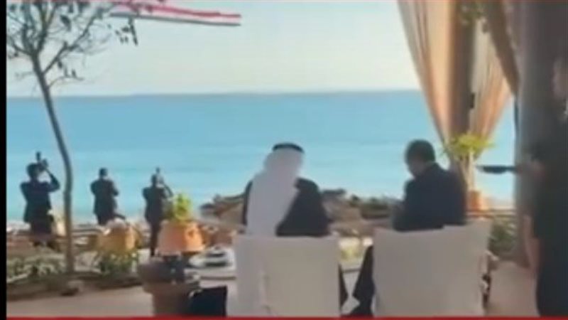 السيسي ونظيره الإماراتي