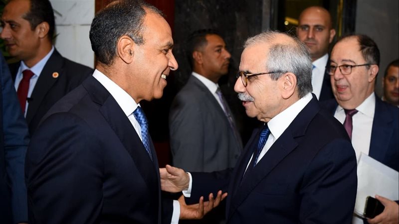 وزير الخارجية يؤكد
