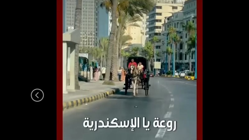 روعة يا الإسكندرية