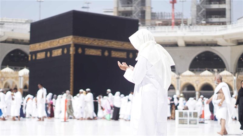 ازاي اعرف ان شركة