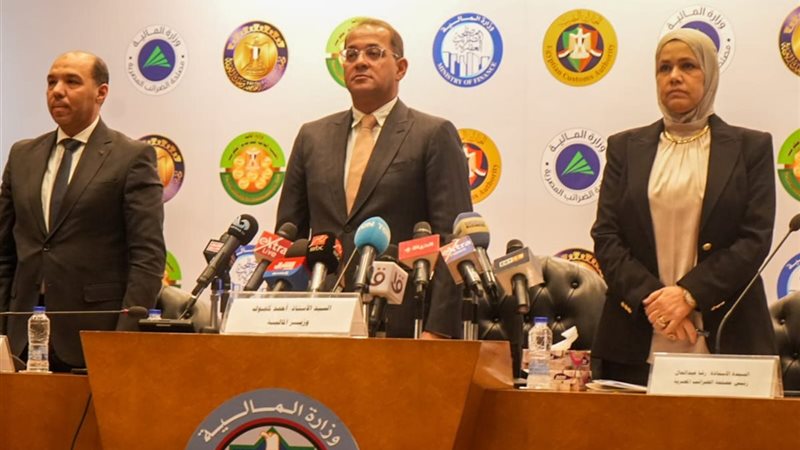 أحمد كجوك، وزير المالية