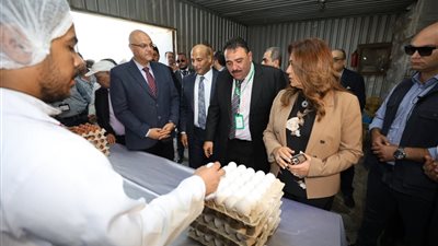 تفاصيل مشروع الـ 30 مليون بيضة بالخانكة وزيادة الإنتاج سنويًا لـ60 مليونا