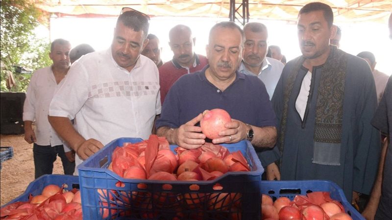 محافظ أسيوط يتفقد