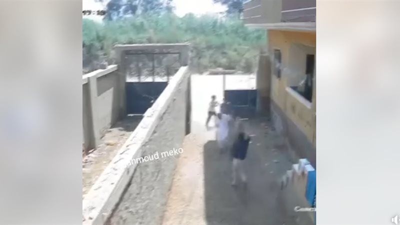 بلطجية في الغربية