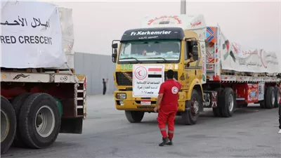 بالأرقام، حجم المساعدات المصرية لغزة وتأثيرها الدبلوماسي في وقف الحرب (فيديو)