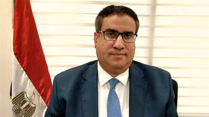 نائب رئيس مجلس إدارة