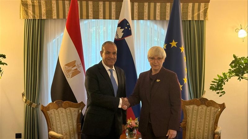 وزير الخارجية يلتقي
