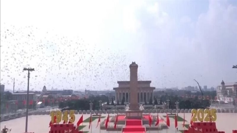 إطلاق 80 ألف حمامة
