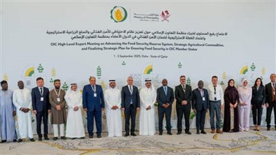 مصر تشارك في اجتماعات مناقشة الخطة الاستراتيجية للأمن الغذائي بدول التعاون الإسلامي