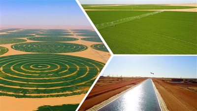 الاستصلاح الزراعي، أهميته ودوره في زيادة الرقعة الزراعية 