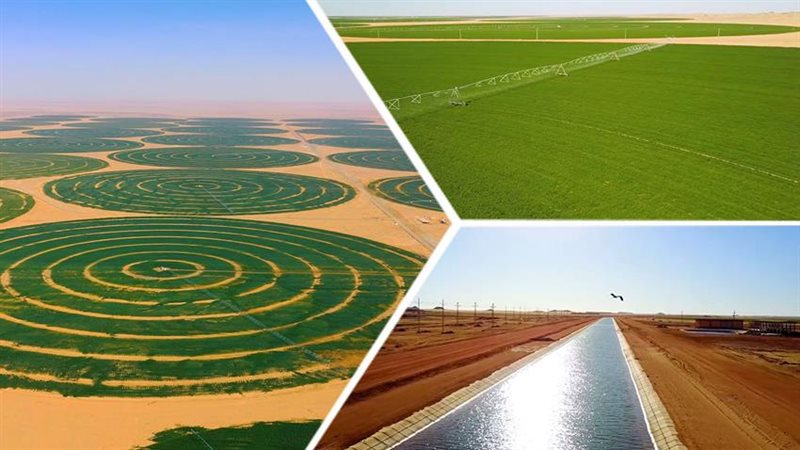 الاستصلاح الزراعي