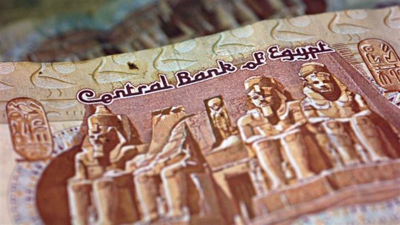 توقعات سعر الجنيه