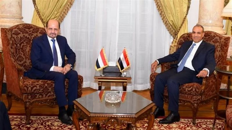 الدكتور بدر عبد العاطي،