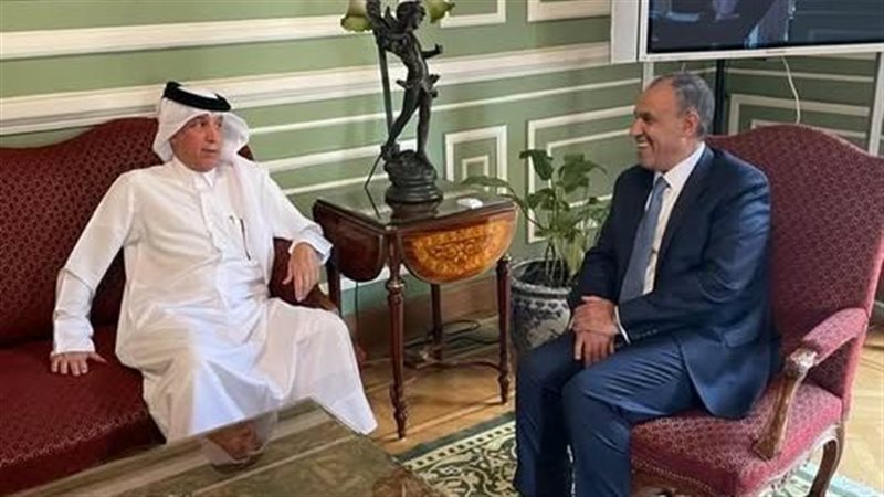 الدكتور بدر عبد العاطي،