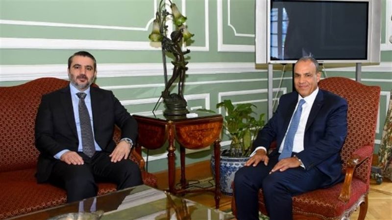 الدكتور بدر عبد العاطي،