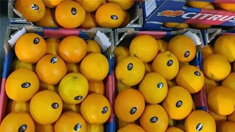 الصادرات الزراعية