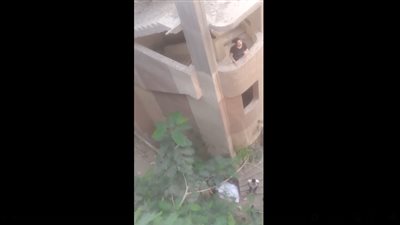 لو رجعت هيموتوني، تفاصيل اختيار فتاة الموت على العلاج بمصحة في الوراق (صور)