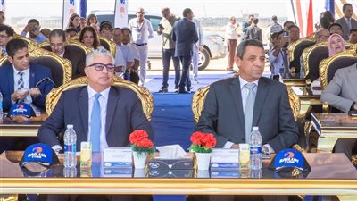 استثمارات صينية ضخمة في مصر، 