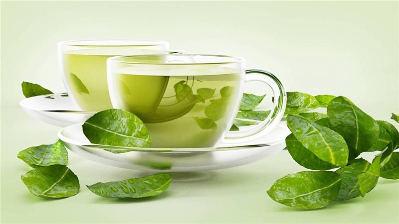دراسة إسبانية حديثة