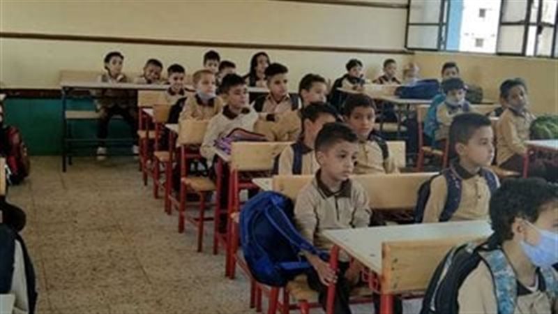 ما هي أقسام تربية