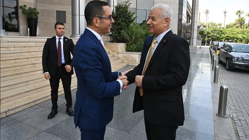 مصر وتونس، خطط مشتركة