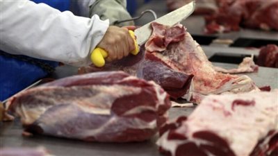 نقيب الجزارين لـ الفلاحين: لو نزلنا بالسعر لـ300 جنيه البياع هيضر المواطنين