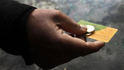 غدا.. بدء إتاحة تحديث بيانات بطاقات التموين وإضافة أسر جديدة| التفاصيل