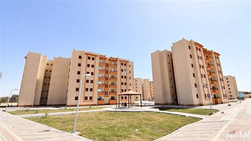 خطوات الاستعلام عن