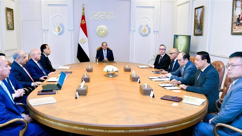 السيسي يستقبل الرئيس
