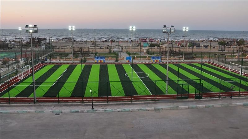 الايام المصرية