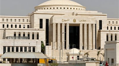 أسماء المرشحين لمجلس الشيوخ، القائمة تضم أساتذة جامعات ورؤساء أحزاب وفنانين