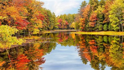 5 أيام تفصلنا عن انتهاء الصيف موعد بدء فصل الخريف رسميًا