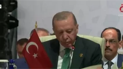 أردوغان بقمة الدوحة: إسرائيل عقلية إرهابية في شكل دولة تتغذى على الفوضى والدم