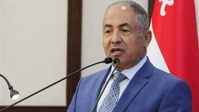 رئيس دفاع النواب عن دعوة السيسي لإنشاء آلية عربية: خطوة استراتيجية