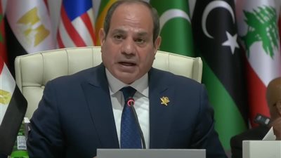 التنسيقية تثمّن كلمة الرئيس السيسي بالقمة العربية الإسلامية الطارئة بالدوحة