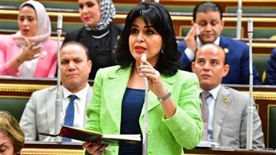 النائبة هند رشاد: الإعلام العربي الواعي هو خط الدفاع الأول في مواجهة الادعاءات المغرضة