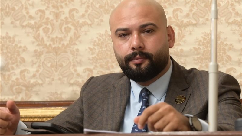 النائب إبراهيم الديب،