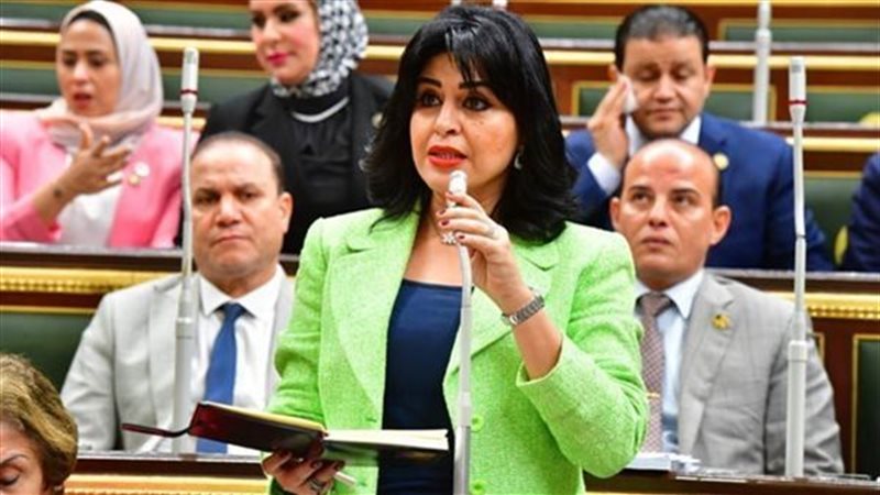 النائبة هند رشاد،