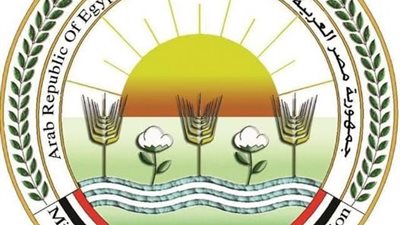 مصر تسعى لتوسيع محميات المانجروف وتعزيز السياحة البيئية والتنمية المستدامة