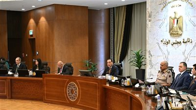 مدبولي: موقف الدولة المصرية ثابت حيال الأوضاع السياسية في المنطقة 