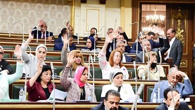 رغم كوتة الـ25%، قيادات نسائية: نطمح في الزيادة لتحقيق العدالة والديمقراطية (خاص)