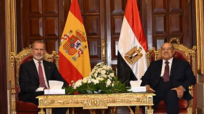 رئيس مجلس الشيوخ يستقبل ملك أسبانيا وسط دعم مشترك للقضية الفلسطينية