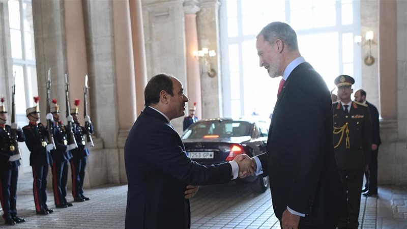 ملك إسبانيا: رد الفعل