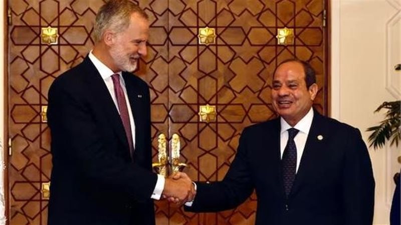 الرئيس السيسي والسيدة