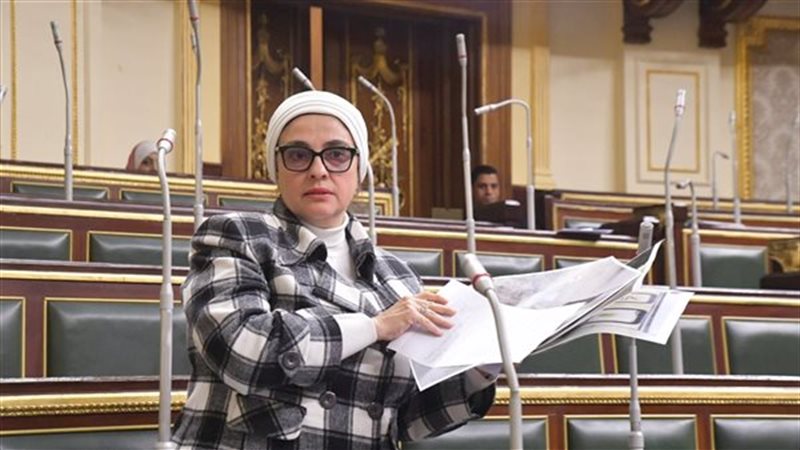 النائبة سميرة الجزار،