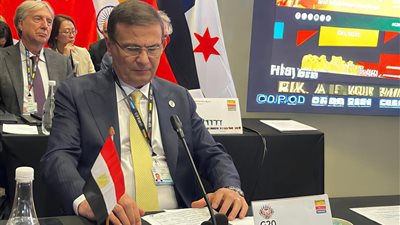 فاروق في كيب تاون: مصر تدعم الزراعة الذكية والتجارة العادلة لتحقيق الأمن الغذائي